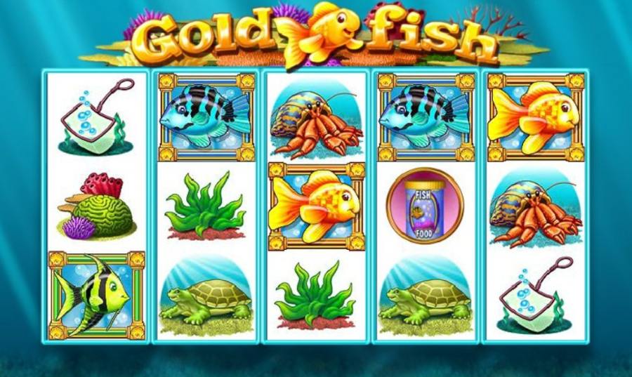 gold fish casino slots